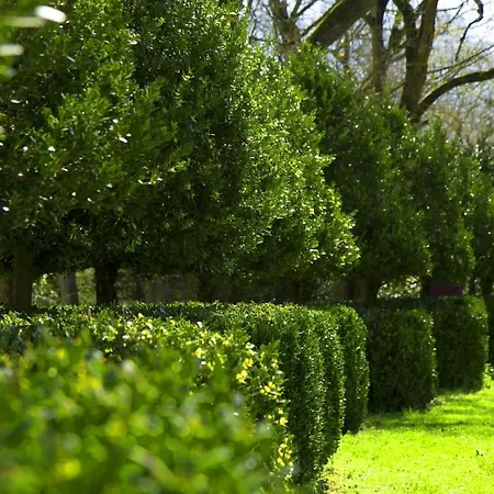 Le Relais Du Silence Chateau Lavail Ξενοδοχείο